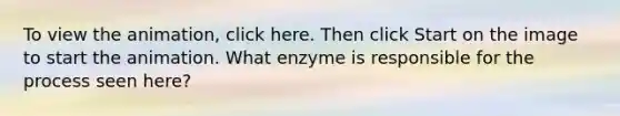 To view the animation, click here. Then click Start on the image to start the animation. What enzyme is responsible for the process seen here?