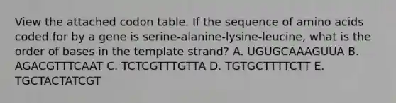 View the attached codon table. If the sequence of amino acids coded for by a gene is serine-alanine-lysine-leucine, what is the order of bases in the template strand? A. UGUGCAAAGUUA B. AGACGTTTCAAT C. TCTCGTTTGTTA D. TGTGCTTTTCTT E. TGCTACTATCGT