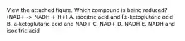 View the attached figure. Which compound is being reduced? (NAD+ -> NADH + H+) A. isocitric acid and Î±-ketoglutaric acid B. a-ketoglutaric acid and NAD+ C. NAD+ D. NADH E. NADH and isocitric acid