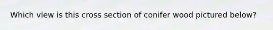 Which view is this cross section of conifer wood pictured below?