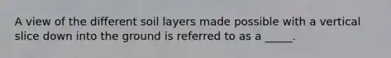 A view of the different soil layers made possible with a vertical slice down into the ground is referred to as a _____.