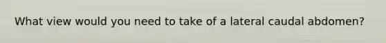What view would you need to take of a lateral caudal abdomen?