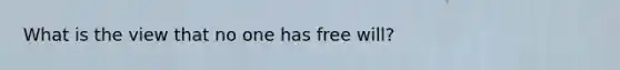 What is the view that no one has free will?