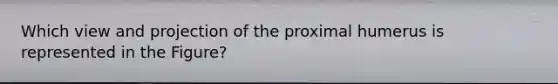 Which view and projection of the proximal humerus is represented in the Figure?