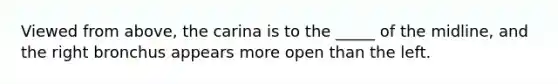 Viewed from above, the carina is to the _____ of the midline, and the right bronchus appears more open than the left.