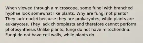 When viewed through a microscope, some fungi with branched hyphae look somewhat like plants. Why are fungi not plants? They lack nuclei because they are prokaryotes, while plants are eukaryotes. They lack chloroplasts and therefore cannot perform photosynthesis Unlike plants, fungi do not have mitochondria. Fungi do not have cell walls, while plants do.