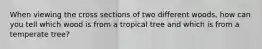 When viewing the cross sections of two different woods, how can you tell which wood is from a tropical tree and which is from a temperate tree?