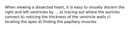 When viewing a dissected heart, it is easy to visually discern the right and left ventricles by ... a) tracing out where the auricles connect b) noticing the thickness of the ventricle walls c) locating the apex d) finding the papillary muscles