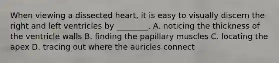 When viewing a dissected heart, it is easy to visually discern the right and left ventricles by ________. A. noticing the thickness of the ventricle walls B. finding the papillary muscles C. locating the apex D. tracing out where the auricles connect