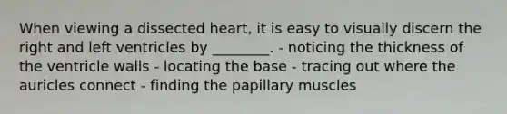 When viewing a dissected heart, it is easy to visually discern the right and left ventricles by ________. - noticing the thickness of the ventricle walls - locating the base - tracing out where the auricles connect - finding the papillary muscles