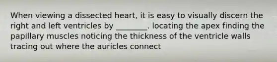 When viewing a dissected heart, it is easy to visually discern the right and left ventricles by ________. locating the apex finding the papillary muscles noticing the thickness of the ventricle walls tracing out where the auricles connect