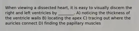 When viewing a dissected heart, it is easy to visually discern the right and left ventricles by ________. A) noticing the thickness of the ventricle walls B) locating the apex C) tracing out where the auricles connect D) finding the papillary muscles