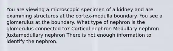 You are viewing a microscopic specimen of a kidney and are examining structures at the cortex-medulla boundary. You see a glomerulus at the boundary. What type of nephron is the glomerulus connected to? Corticol nephron Medullary nephron Juxtamedullary nephron There is not enough information to identify the nephron.