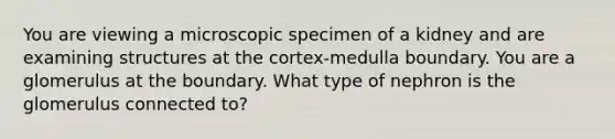 You are viewing a microscopic specimen of a kidney and are examining structures at the cortex-medulla boundary. You are a glomerulus at the boundary. What type of nephron is the glomerulus connected to?