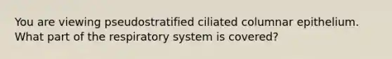 You are viewing pseudostratified ciliated columnar epithelium. What part of the respiratory system is covered?