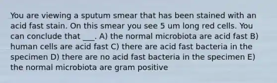 You are viewing a sputum smear that has been stained with an acid fast stain. On this smear you see 5 um long red cells. You can conclude that ___. A) the normal microbiota are acid fast B) human cells are acid fast C) there are acid fast bacteria in the specimen D) there are no acid fast bacteria in the specimen E) the normal microbiota are gram positive