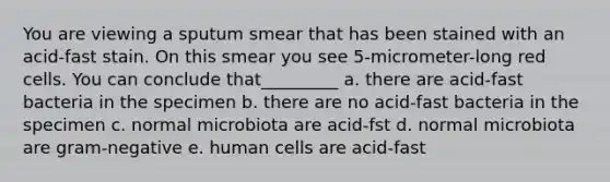 You are viewing a sputum smear that has been stained with an acid-fast stain. On this smear you see 5-micrometer-long red cells. You can conclude that_________ a. there are acid-fast bacteria in the specimen b. there are no acid-fast bacteria in the specimen c. normal microbiota are acid-fst d. normal microbiota are gram-negative e. human cells are acid-fast