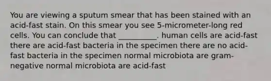 You are viewing a sputum smear that has been stained with an acid-fast stain. On this smear you see 5-micrometer-long red cells. You can conclude that __________. human cells are acid-fast there are acid-fast bacteria in the specimen there are no acid-fast bacteria in the specimen normal microbiota are gram-negative normal microbiota are acid-fast