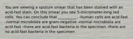 You are viewing a sputum smear that has been stained with an acid-fast stain. On this smear you see 5-micrometer-long red cells. You can conclude that __________. -human cells are acid-fast -normal microbiota are gram-negative -normal microbiota are acid-fast -there are acid-fast bacteria in the specimen -there are no acid-fast bacteria in the specimen