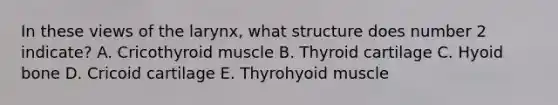 In these views of the larynx, what structure does number 2 indicate? A. Cricothyroid muscle B. Thyroid cartilage C. Hyoid bone D. Cricoid cartilage E. Thyrohyoid muscle