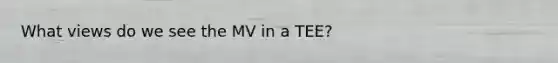 What views do we see the MV in a TEE?