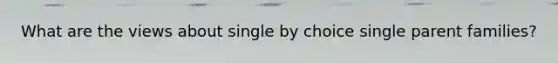 What are the views about single by choice single parent families?