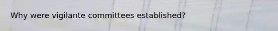 Why were vigilante committees established?