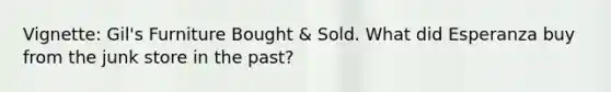 Vignette: Gil's Furniture Bought & Sold. What did Esperanza buy from the junk store in the past?