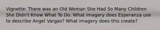 Vignette: There was an Old Woman She Had So Many Children She Didn't Know What To Do. What imagery does Esperanza use to describe Angel Vargas? What imagery does this create?