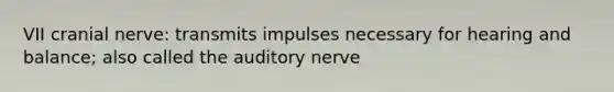 VII cranial nerve: transmits impulses necessary for hearing and balance; also called the auditory nerve