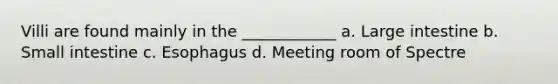 Villi are found mainly in the ____________ a. Large intestine b. Small intestine c. Esophagus d. Meeting room of Spectre