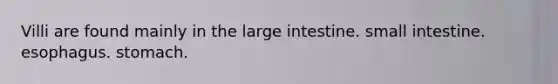 Villi are found mainly in the large intestine. small intestine. esophagus. stomach.