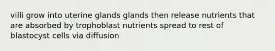 villi grow into uterine glands glands then release nutrients that are absorbed by trophoblast nutrients spread to rest of blastocyst cells via diffusion