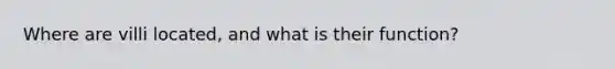 Where are villi located, and what is their function?