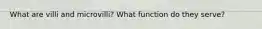 What are villi and microvilli? What function do they serve?