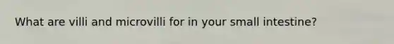 What are villi and microvilli for in your small intestine?
