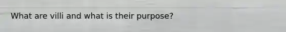 What are villi and what is their purpose?