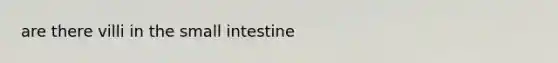are there villi in <a href='https://www.questionai.com/knowledge/kt623fh5xn-the-small-intestine' class='anchor-knowledge'>the small intestine</a>