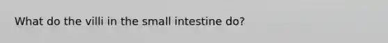 What do the villi in the small intestine do?