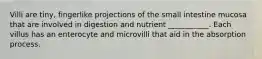 Villi are tiny, fingerlike projections of the small intestine mucosa that are involved in digestion and nutrient ___________. Each villus has an enterocyte and microvilli that aid in the absorption process.