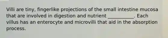 Villi are tiny, fingerlike projections of the small intestine mucosa that are involved in digestion and nutrient ___________. Each villus has an enterocyte and microvilli that aid in the absorption process.