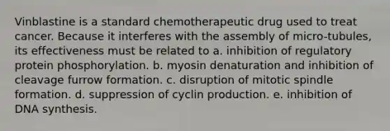 Vinblastine is a standard chemotherapeutic drug used to treat cancer. Because it interferes with the assembly of micro-tubules, its effectiveness must be related to a. inhibition of regulatory protein phosphorylation. b. myosin denaturation and inhibition of cleavage furrow formation. c. disruption of mitotic spindle formation. d. suppression of cyclin production. e. inhibition of DNA synthesis.