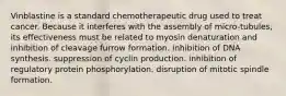 Vinblastine is a standard chemotherapeutic drug used to treat cancer. Because it interferes with the assembly of micro-tubules, its effectiveness must be related to myosin denaturation and inhibition of cleavage furrow formation. inhibition of DNA synthesis. suppression of cyclin production. inhibition of regulatory protein phosphorylation. disruption of mitotic spindle formation.