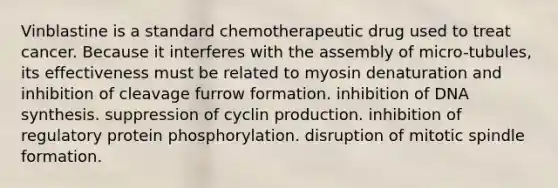 Vinblastine is a standard chemotherapeutic drug used to treat cancer. Because it interferes with the assembly of micro-tubules, its effectiveness must be related to myosin denaturation and inhibition of cleavage furrow formation. inhibition of DNA synthesis. suppression of cyclin production. inhibition of regulatory protein phosphorylation. disruption of mitotic spindle formation.