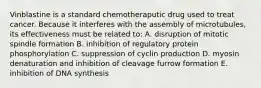 Vinblastine is a standard chemotheraputic drug used to treat cancer. Because it interferes with the assembly of microtubules, its effectiveness must be related to: A. disruption of mitotic spindle formation B. inhibition of regulatory protein phosphorylation C. suppression of cyclin production D. myosin denaturation and inhibition of cleavage furrow formation E. inhibition of DNA synthesis