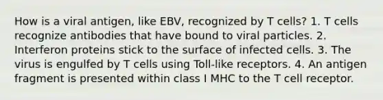 How is a viral antigen, like EBV, recognized by T cells? 1. T cells recognize antibodies that have bound to viral particles. 2. Interferon proteins stick to the surface of infected cells. 3. The virus is engulfed by T cells using Toll-like receptors. 4. An antigen fragment is presented within class I MHC to the T cell receptor.