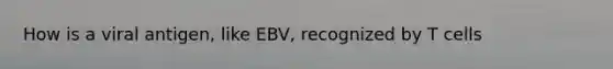 How is a viral antigen, like EBV, recognized by T cells