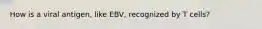 How is a viral antigen, like EBV, recognized by T cells?