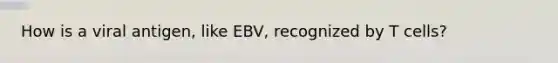 How is a viral antigen, like EBV, recognized by T cells?