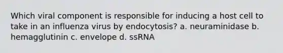 Which viral component is responsible for inducing a host cell to take in an influenza virus by endocytosis? a. neuraminidase b. hemagglutinin c. envelope d. ssRNA